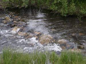 Stream Canmore2014-06-24 00.45.41